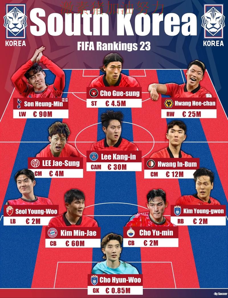 韩国阵容升级备受关注