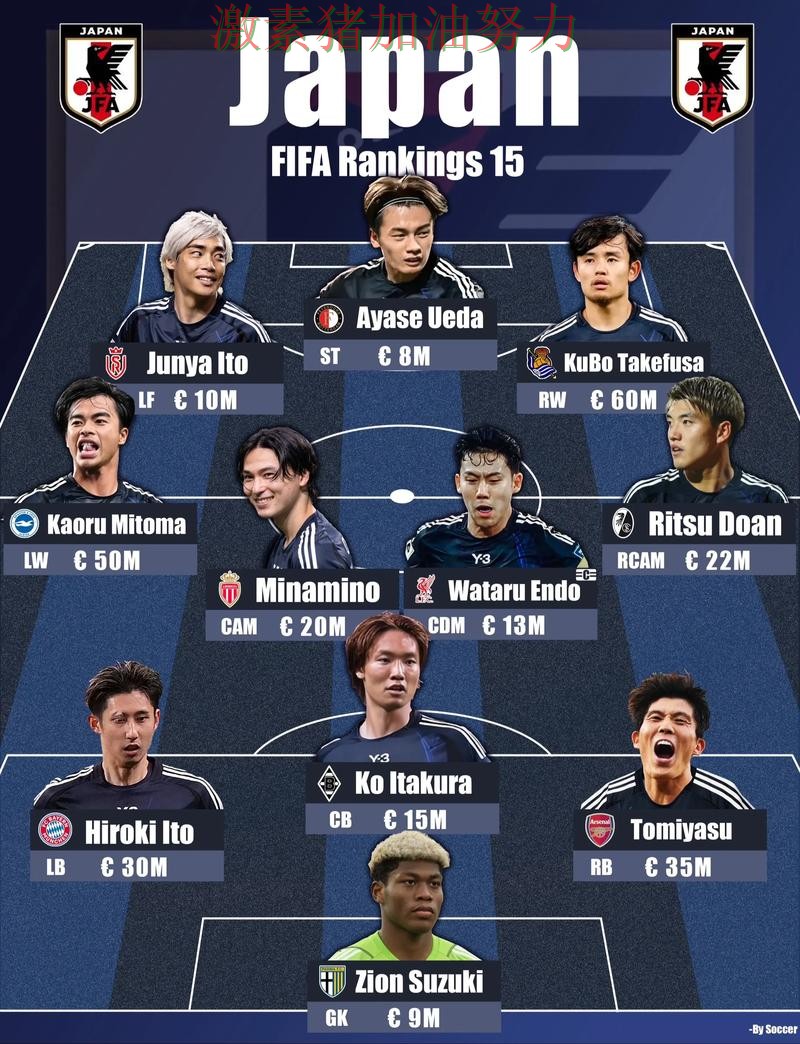 韩国阵容升级备受关注