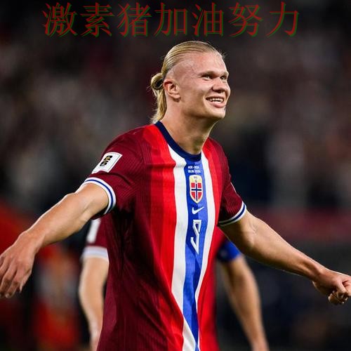 哈兰德与库里赛后评价形成鲜明反差