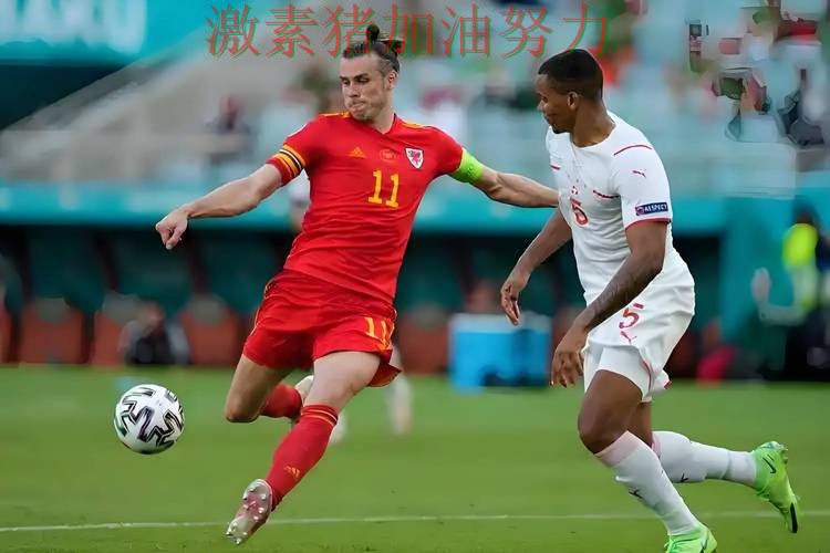 荷兰核心爆发胜负手终于被看清